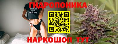 эйфоретик Малгобек